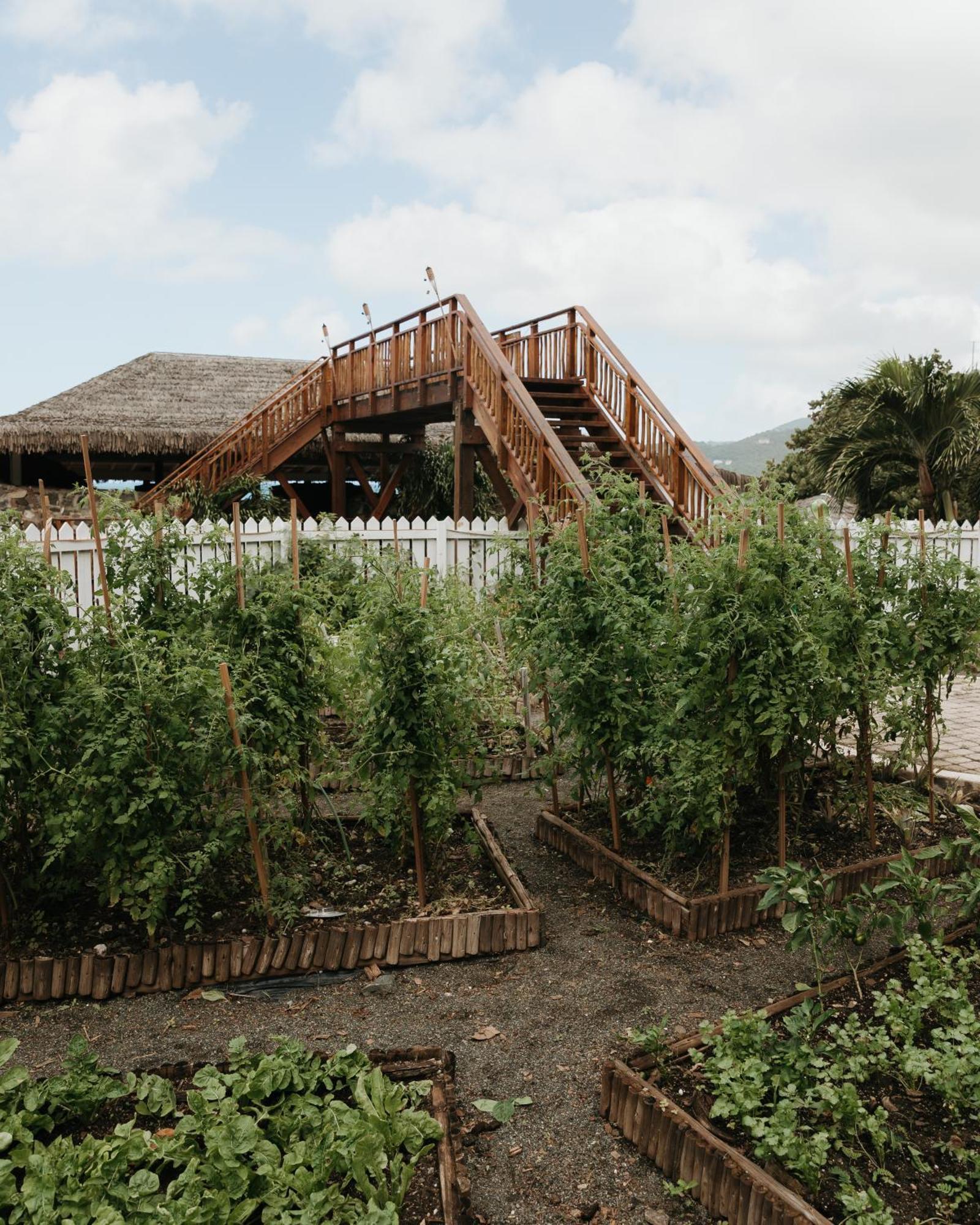 Long Bay Beach Resort Freshwater Pond Exterior photo